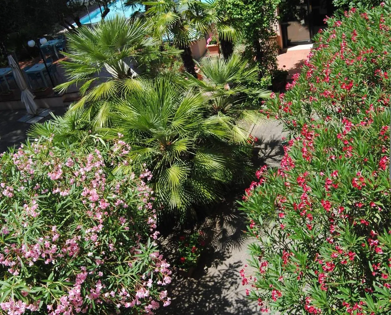Hotel Capriccio Cervia 4*,  Italy